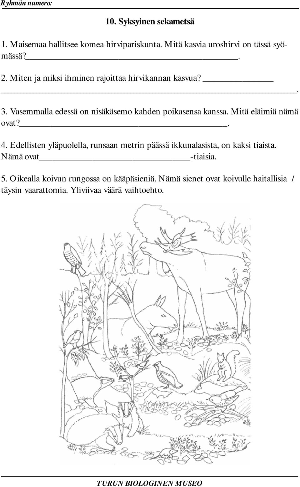 Mitä eläimiä nämä ovat?. 4. Edellisten yläpuolella, runsaan metrin päässä ikkunalasista, on kaksi tiaista.