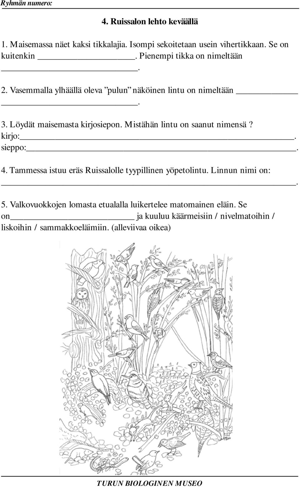 Mistähän lintu on saanut nimensä? kirjo:. sieppo:. 4. Tammessa istuu eräs Ruissalolle tyypillinen yöpetolintu. Linnun nimi on:. 5.