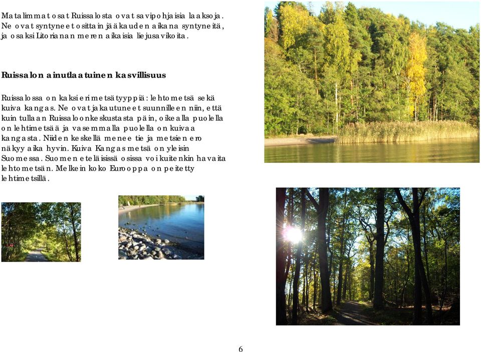Ruissalon ainutlaatuinen kasvillisuus Ruissalossa on kaksi eri metsätyyppiä: lehtometsä sekä kuiva kangas.