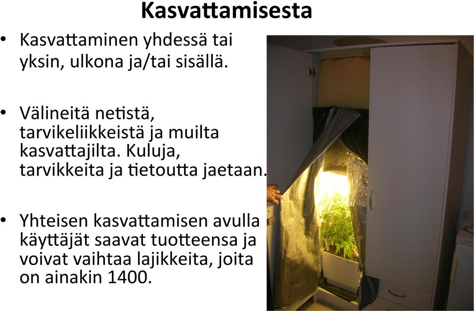 Kuluja, tarvikkeita ja :etou<a jaetaan.