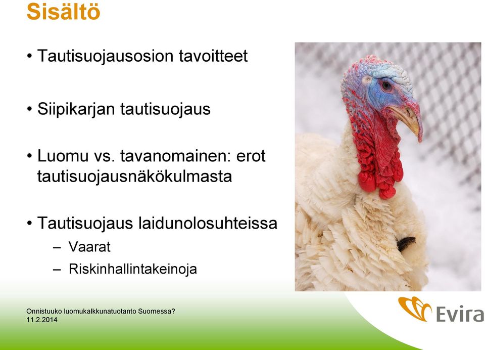 tavanomainen: erot tautisuojausnäkökulmasta