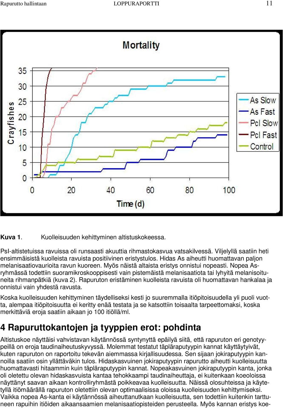 Myös näistä altaista eristys onnistui nopeasti. Nopea Asryhmässä todettiin suoramikroskooppisesti vain pistemäistä melanisaatiota tai lyhyitä melanisoituneita rihmanpätkiä (kuva 2).