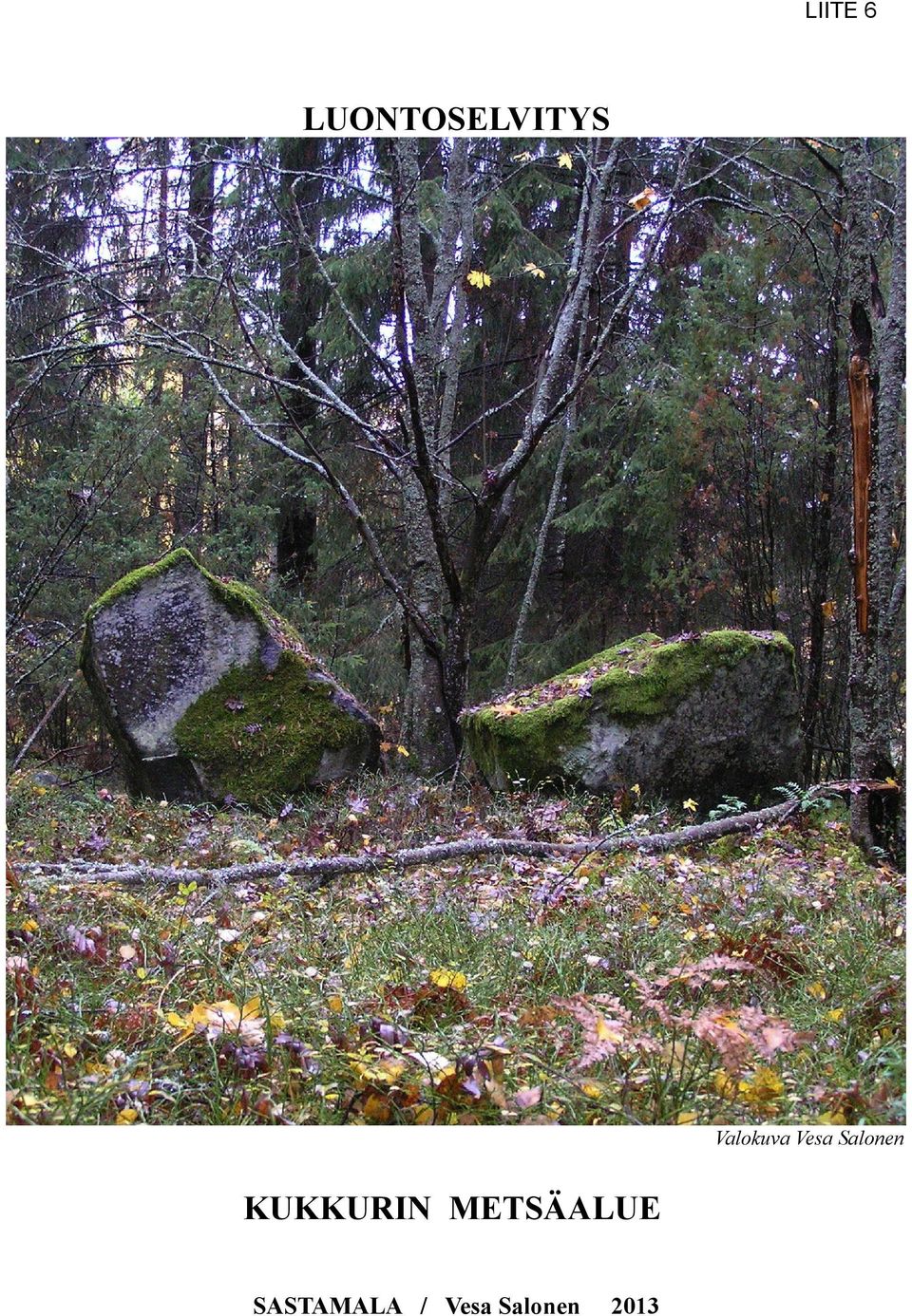 KUKKURIN METSÄALUE