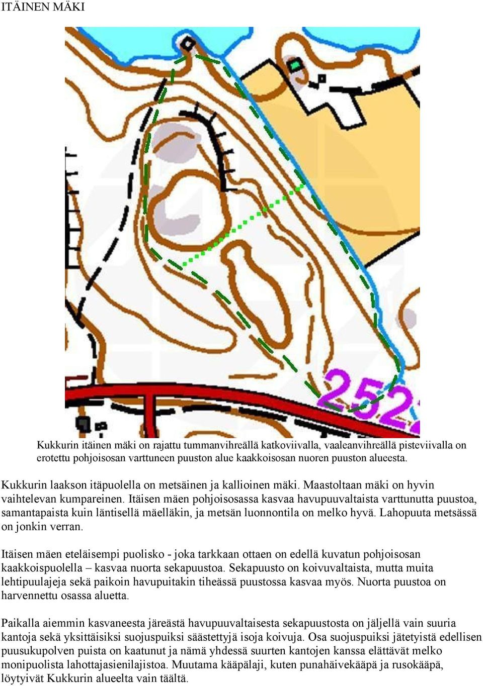 Itäisen mäen pohjoisosassa kasvaa havupuuvaltaista varttunutta puustoa, samantapaista kuin läntisellä mäelläkin, ja metsän luonnontila on melko hyvä. Lahopuuta metsässä on jonkin verran.