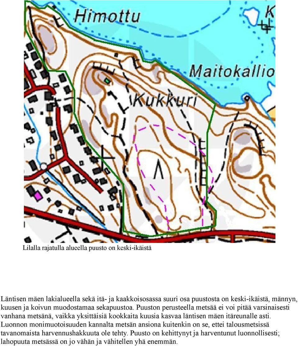 Puuston perusteella metsää ei voi pitää varsinaisesti vanhana metsänä, vaikka yksittäisiä kookkaita kuusia kasvaa läntisen mäen itäreunalle asti.