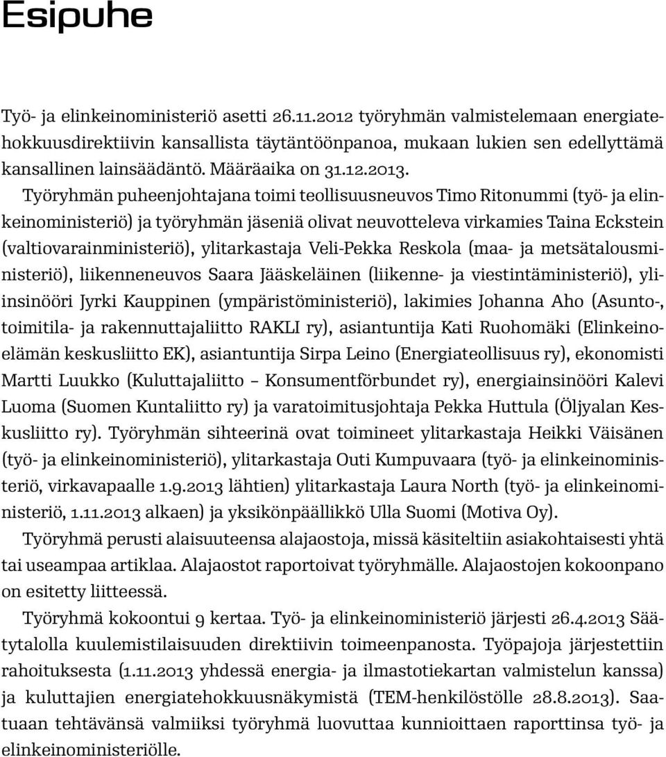 Työryhmän puheenjohtajana toimi teollisuusneuvos Timo Ritonummi (työ- ja elinkeinoministeriö) ja työryhmän jäseniä olivat neuvotteleva virkamies Taina Eckstein (valtiovarainministeriö), ylitarkastaja