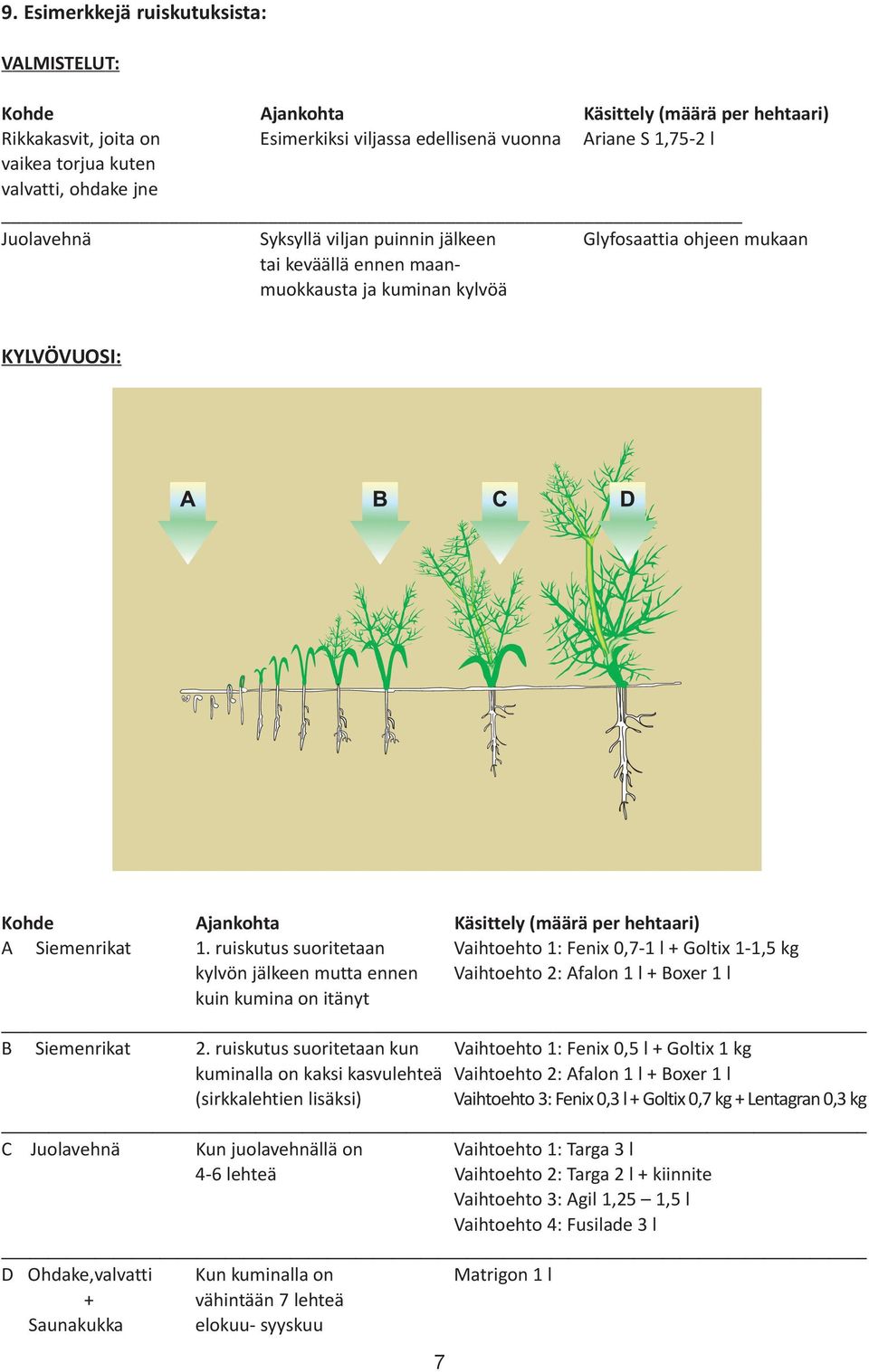 Siemenrikat 1. ruiskutus suoritetaan Vaihtoehto 1: Fenix 0,7-1 l + Goltix 1-1,5 kg kylvön jälkeen mutta ennen Vaihtoehto 2: Afalon 1 l + Boxer 1 l kuin kumina on itänyt B Siemenrikat 2.