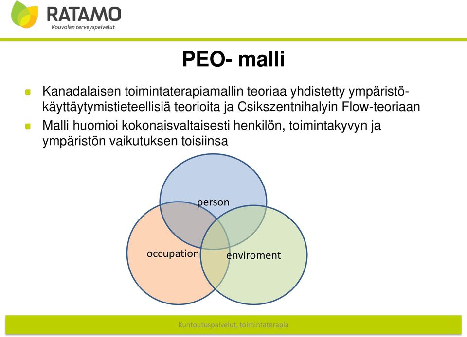 Flow-teoriaan Malli huomioi kokonaisvaltaisesti henkilön,