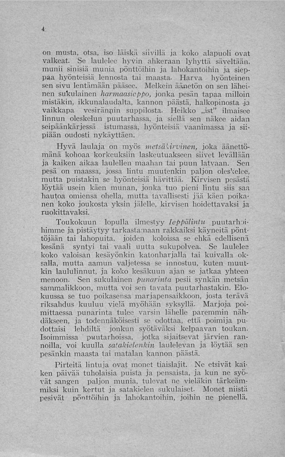 Melkein äänetön on sen läheinen sukulainen harmaasicppo, jonka pesän tapaa milloin mistäkin, ikkunalaudalta, kannon päästä, halkopinosta ja vaikkapa vesirännin suppilosta.