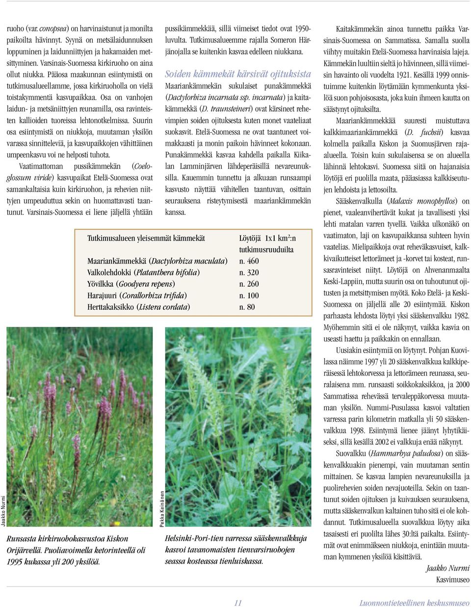 Osa on vanhojen laidun- ja metsäniittyjen reunamilla, osa ravinteisten kallioiden tuoreissa lehtonotkelmissa.