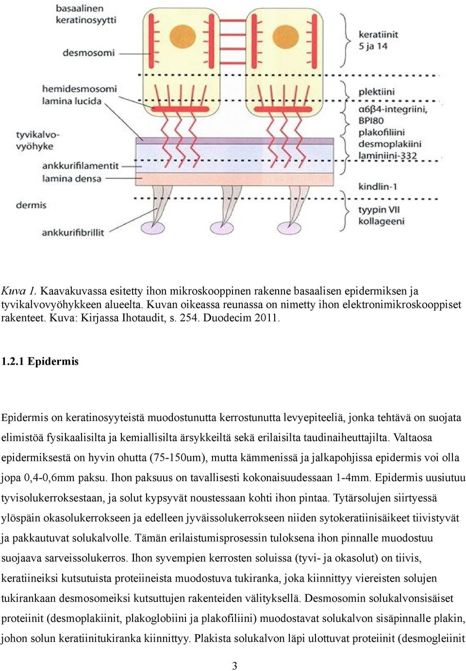 4. Duodecim 20