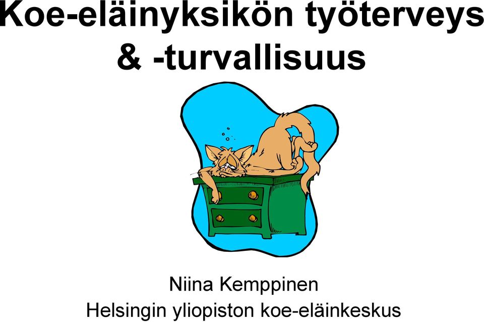 -turvallisuus Niina