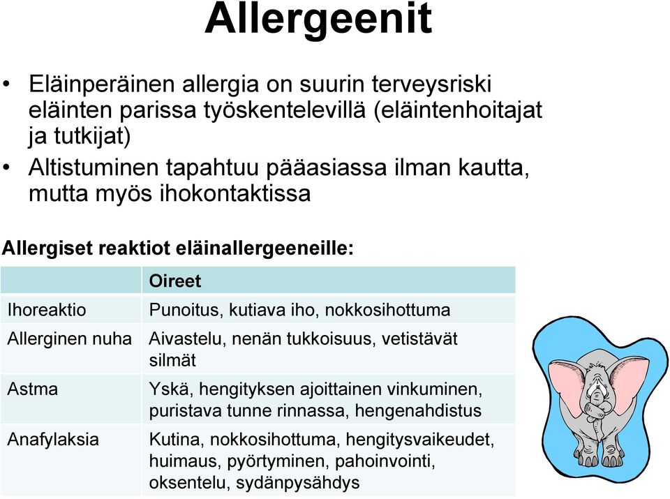 Anafylaksia Oireet Punoitus, kutiava iho, nokkosihottuma Aivastelu, nenän tukkoisuus, vetistävät silmät Yskä, hengityksen ajoittainen