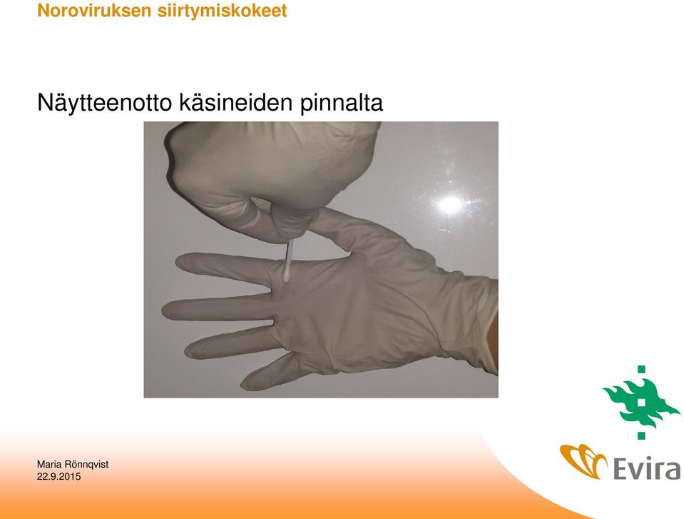 Näytteenotto