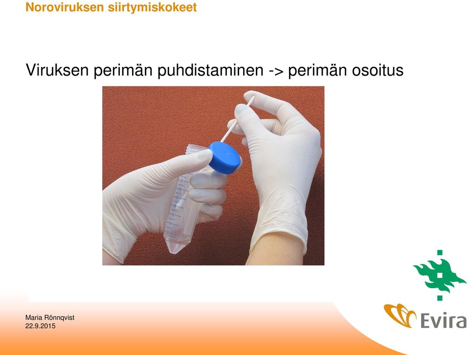 Viruksen perimän
