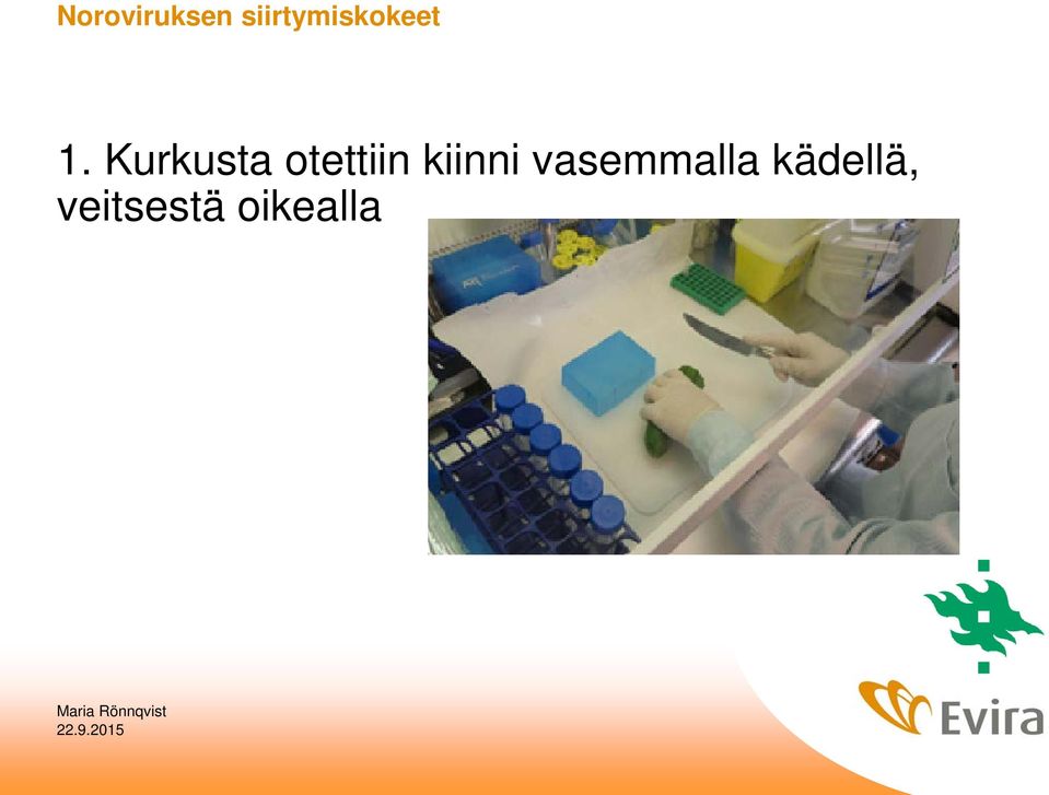 Kurkusta otettiin