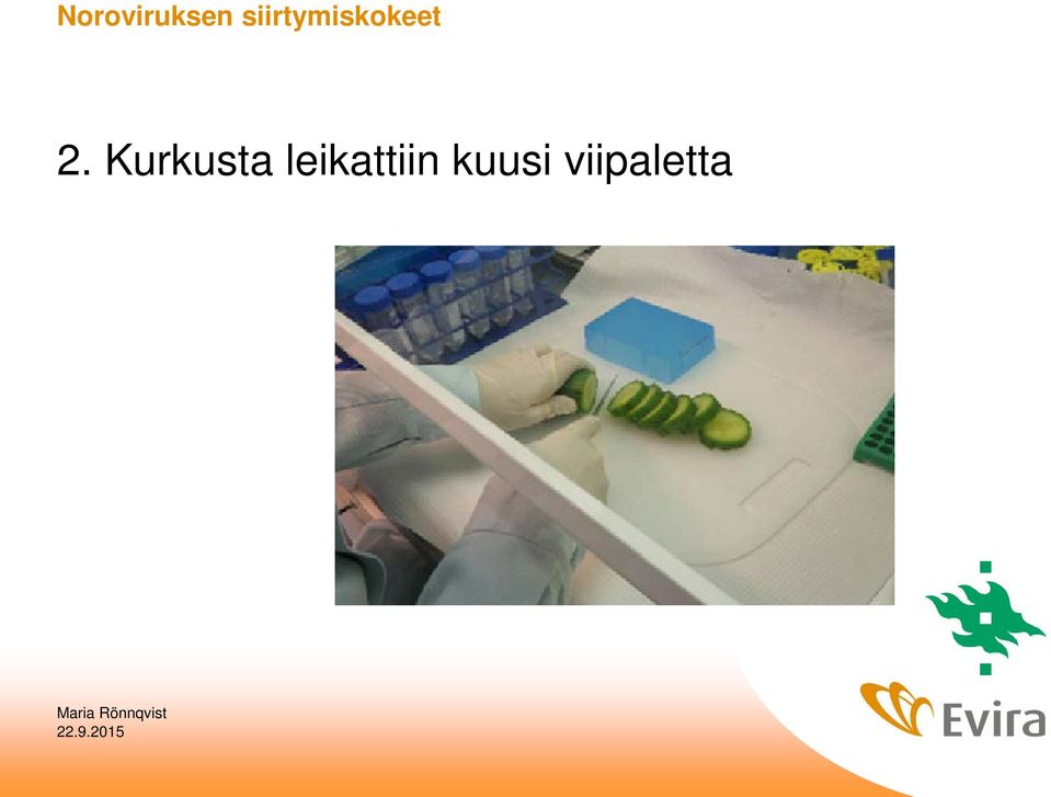 2. Kurkusta
