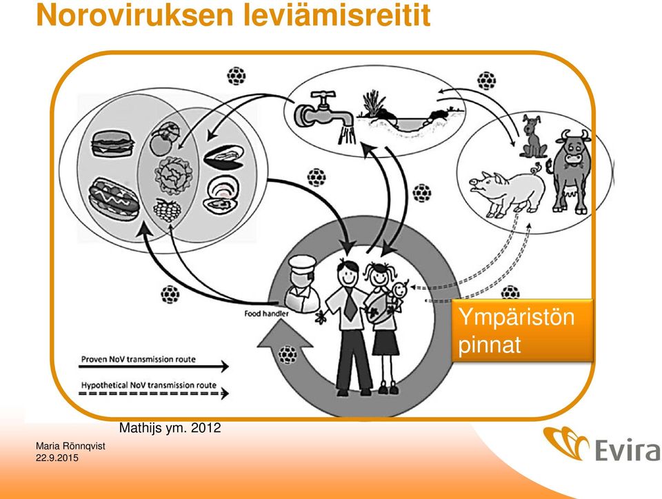 Ympäristön