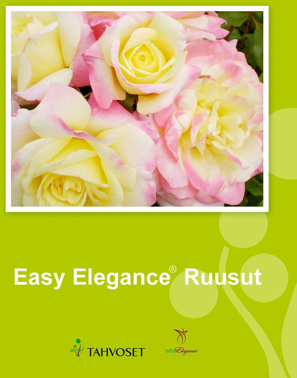 Ruusut