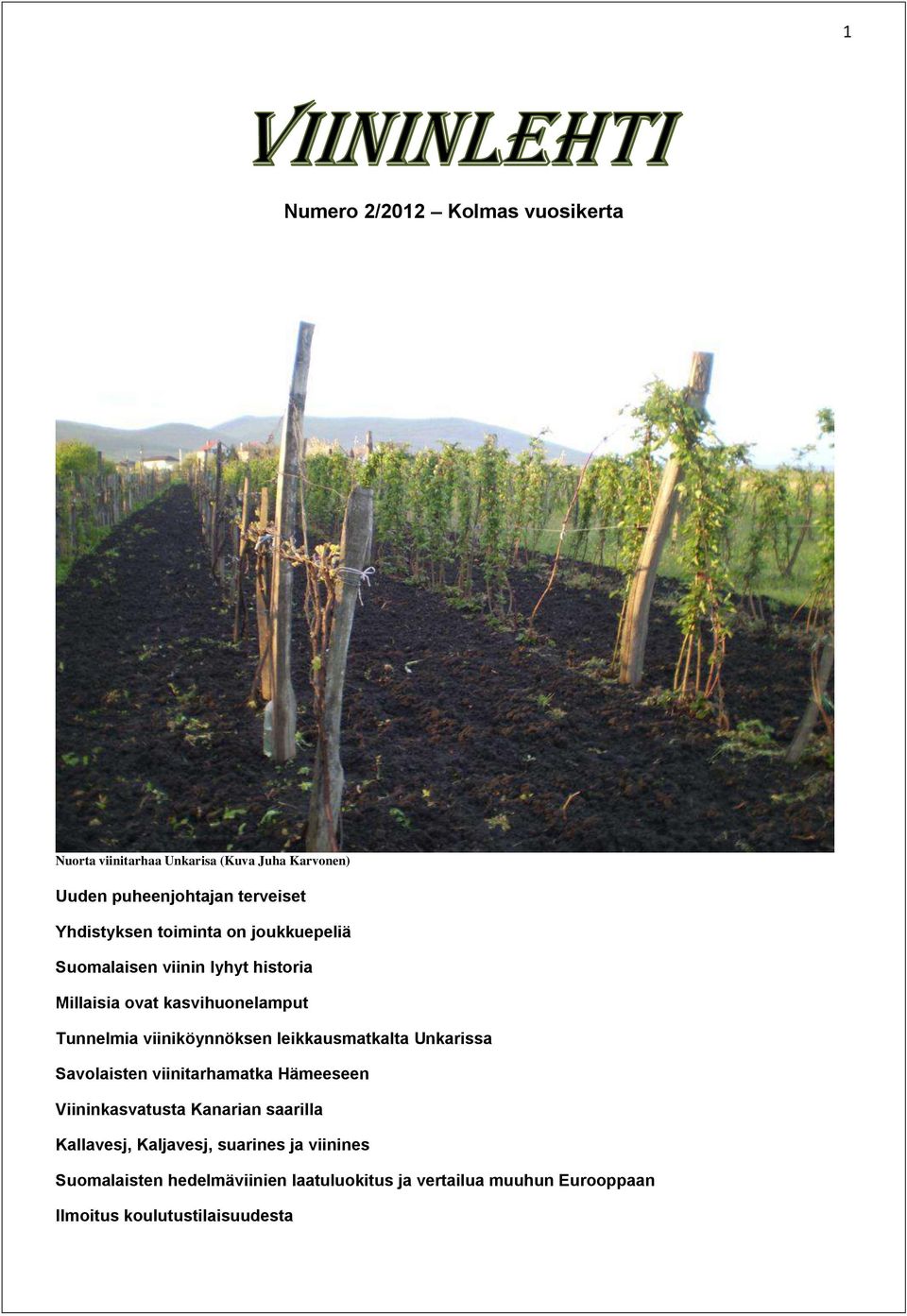 viiniköynnöksen leikkausmatkalta Unkarissa Savolaisten viinitarhamatka Hämeeseen Viininkasvatusta Kanarian saarilla