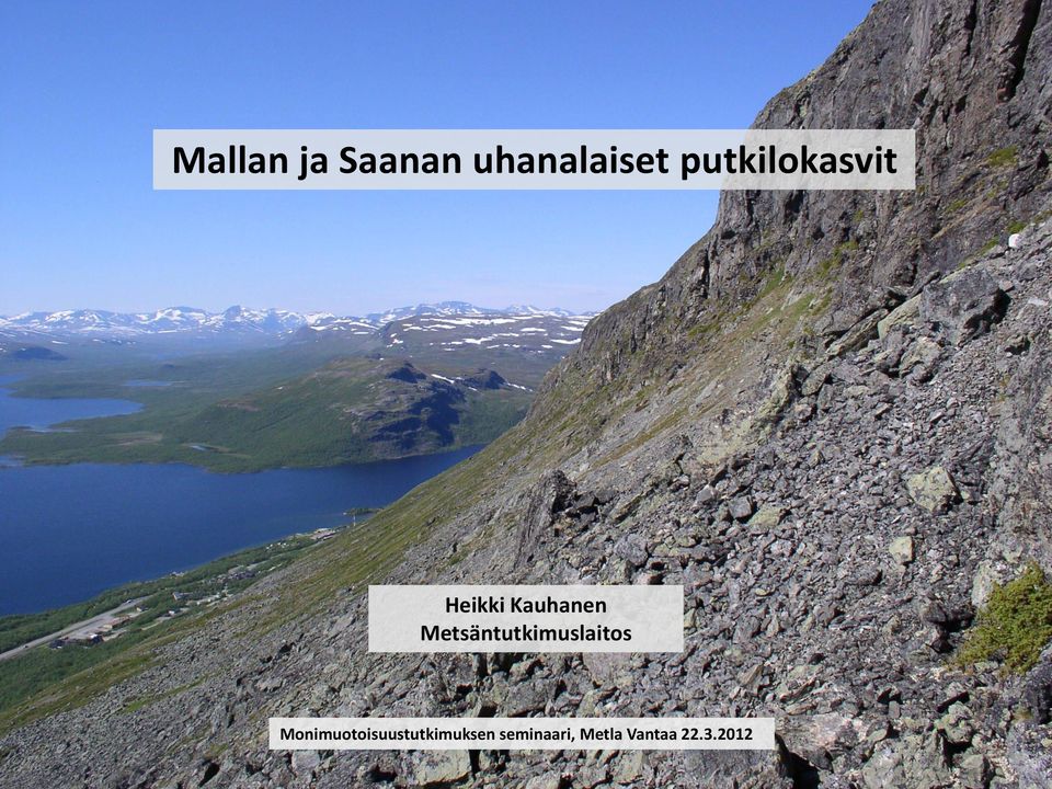 Metsäntutkimuslaitos