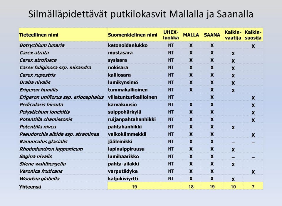 misandra nokisara NT X X X Carex rupestris kalliosara NT X X X Draba nivalis lumikynsimö NT X X X Erigeron humilis tummakallioinen NT X X X Erigeron uniflorus ssp.