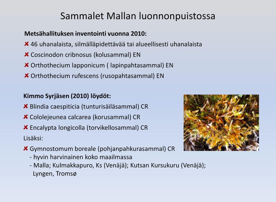 (2010) löydöt: Blindia caespiticia (tunturisäiläsammal) CR Cololejeunea calcarea (korusammal) CR Encalypta longicolla (torvikellosammal) CR