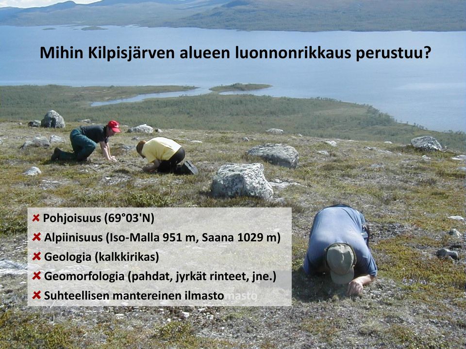 Saana 1029 m) Geologia (kalkkirikas) Geomorfologia