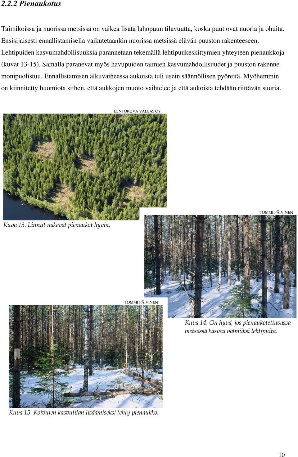 Lehtipuiden kasvumahdollisuuksia parannetaan tekemällä lehtipuukeskittymien yhteyteen pienaukkoja (kuvat 13-15).