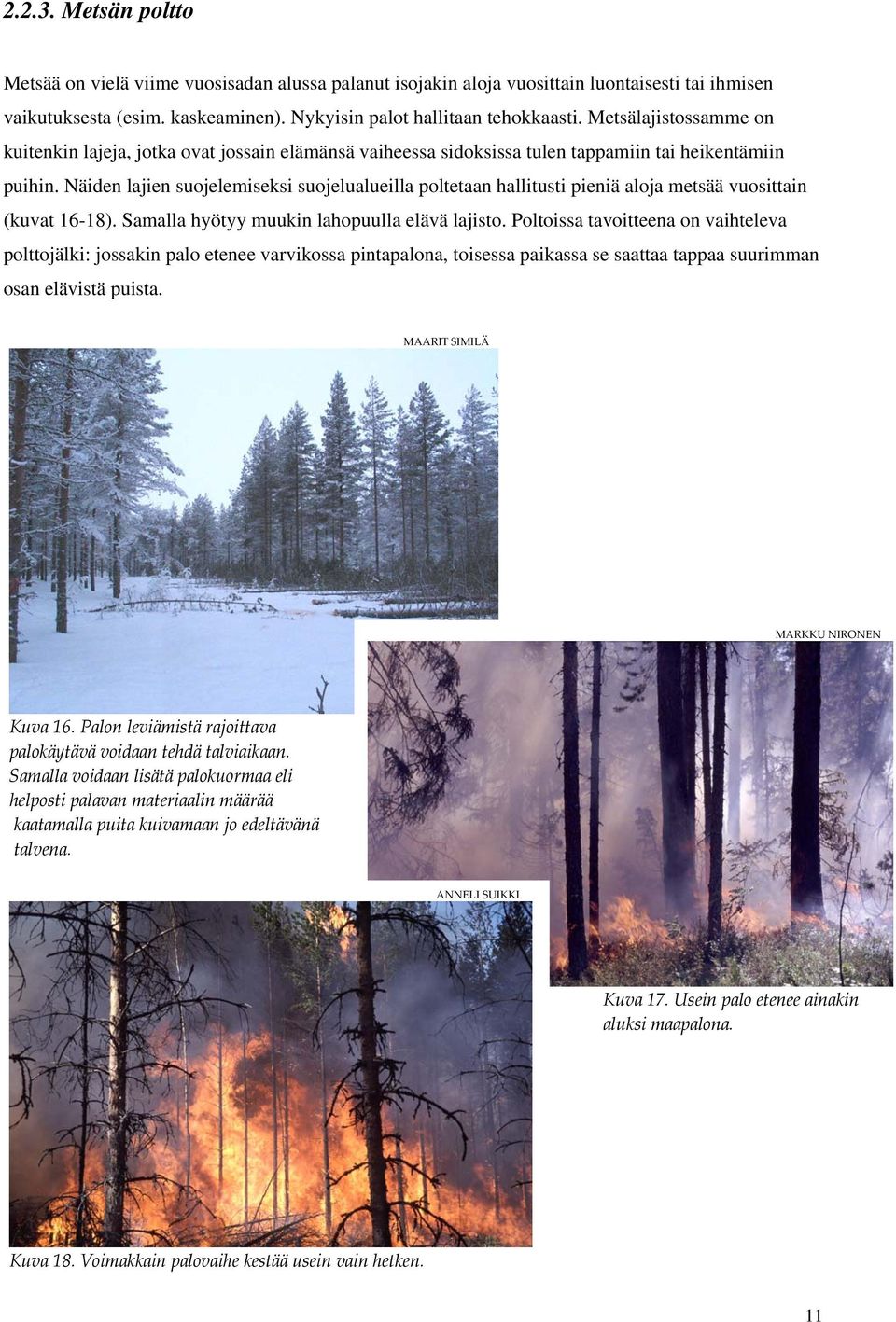 Näiden lajien suojelemiseksi suojelualueilla poltetaan hallitusti pieniä aloja metsää vuosittain (kuvat 16-18). Samalla hyötyy muukin lahopuulla elävä lajisto.