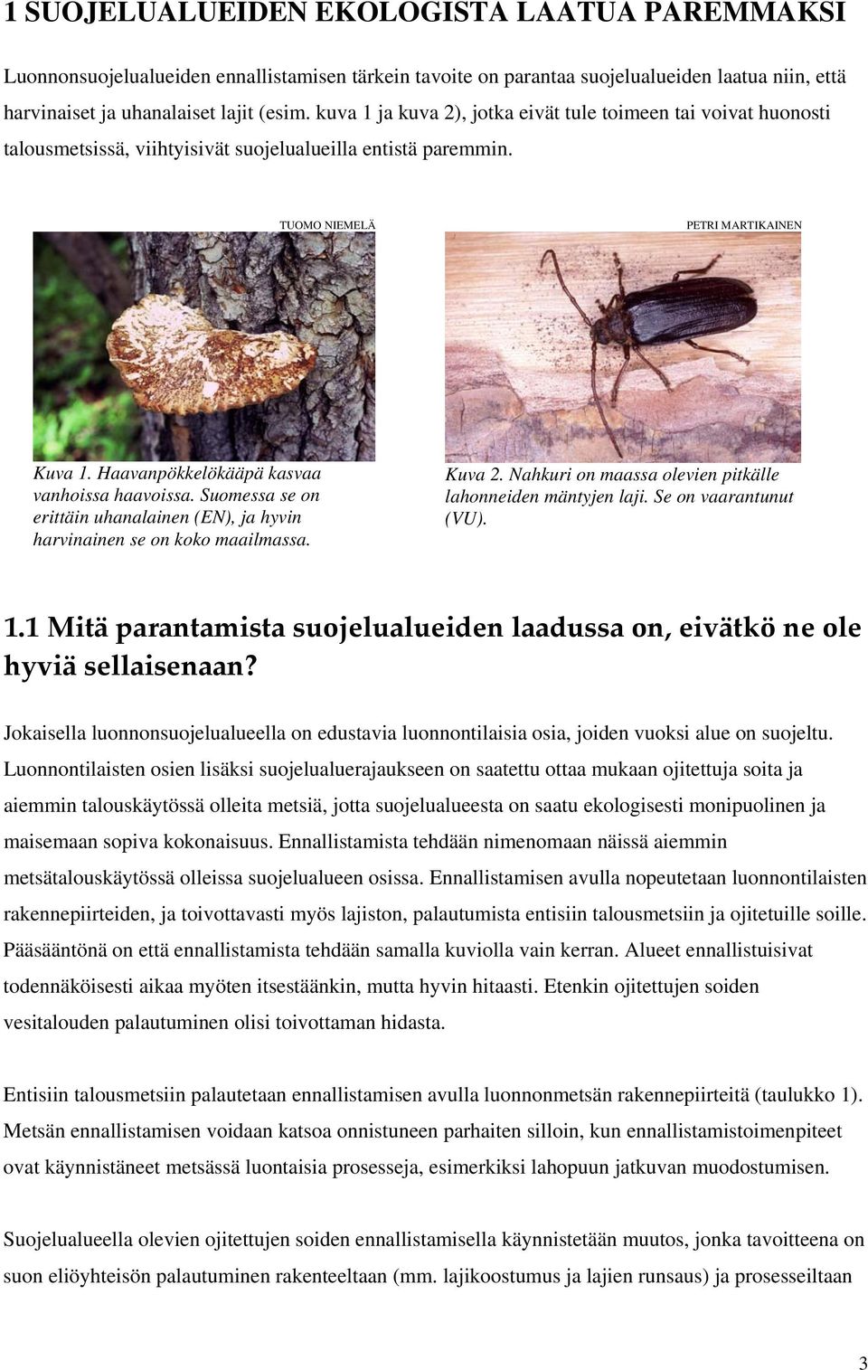 Haavanpökkelökääpä kasvaa vanhoissa haavoissa. Suomessa se on erittäin uhanalainen (EN), ja hyvin harvinainen se on koko maailmassa. Kuva 2.