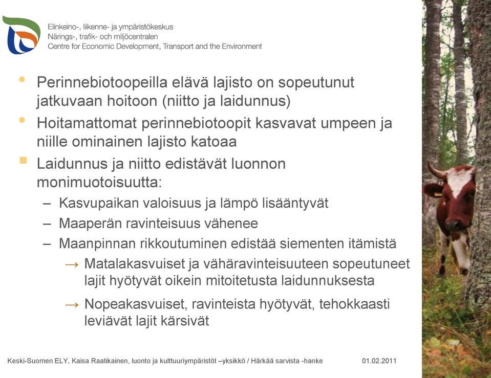 rikkoutuminen edistää siementen itämistä Matalakasvuiset ja vähäravinteisuuteen sopeutuneet lajit hyötyvät oikein mitoitetusta laidunnuksesta Nopeakasvuiset,