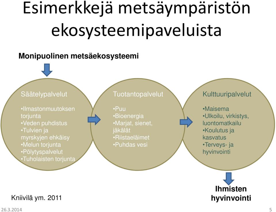 Tuotantopalvelut Puu Bioenergia Marjat, sienet, jäkälät Riistaeläimet Puhdas vesi Kulttuuripalvelut Maisema