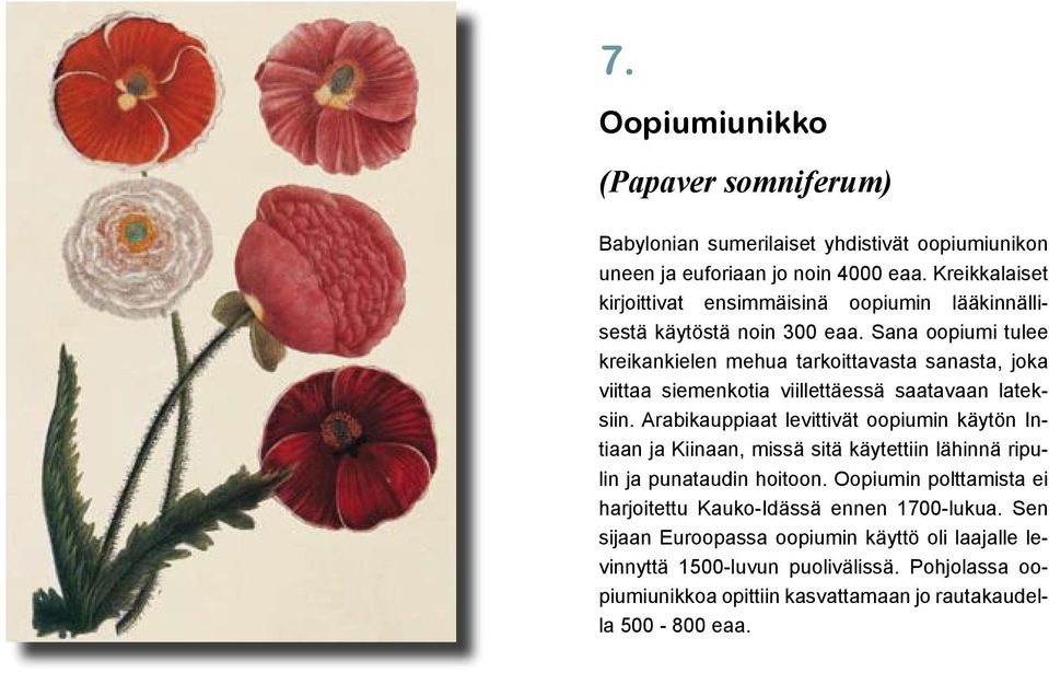 Sana oopiumi tulee kreikankielen mehua tarkoittavasta sanasta, joka viittaa siemenkotia viillettäessä saatavaan lateksiin.