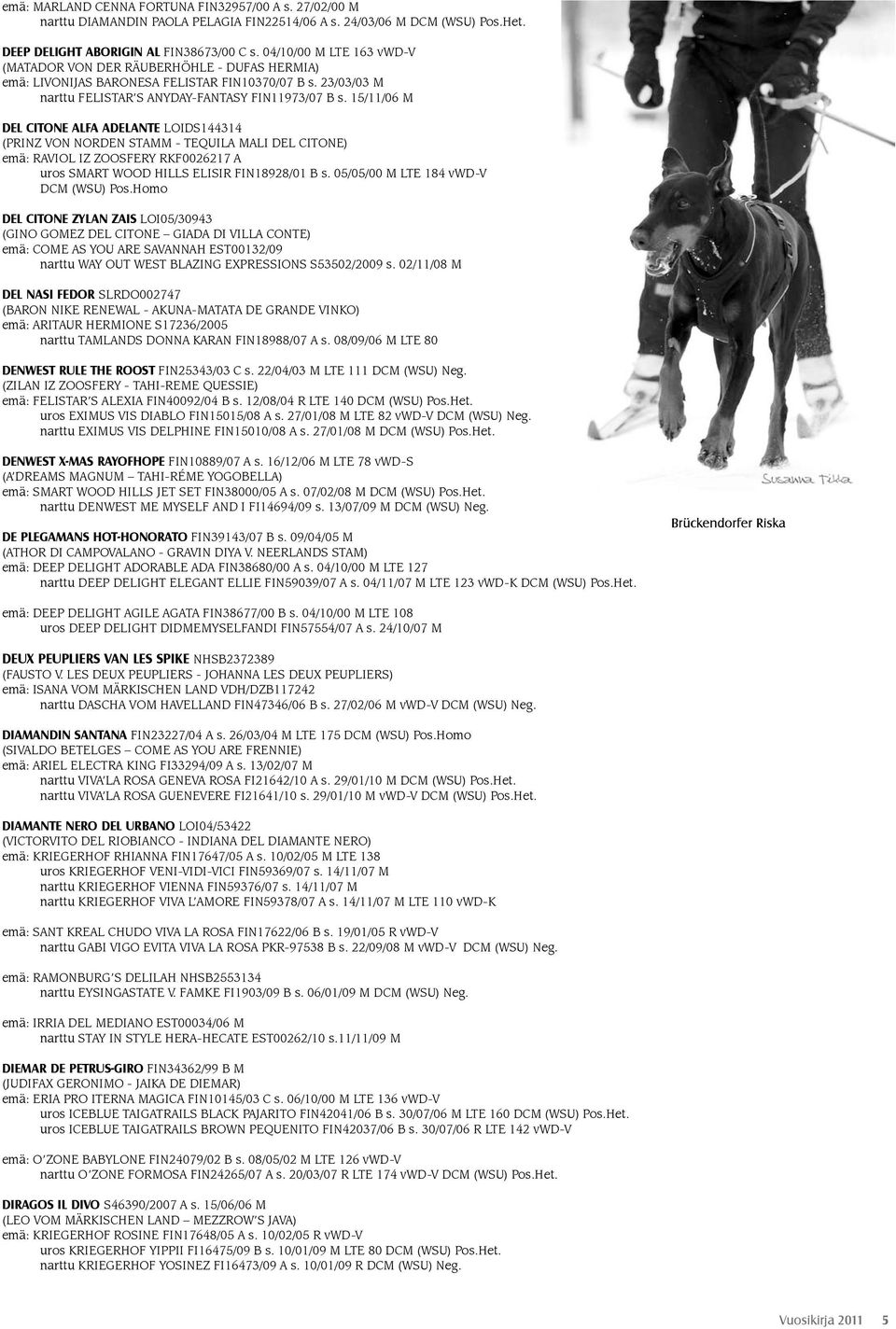 15/11/06 M DEL CITONE ALFA ADELANTE LOIDS144314 (PRINZ VON NORDEN STAMM - TEQUILA MALI DEL CITONE) emä: RAVIOL IZ ZOOSFERY RKF0026217 A uros SMART WOOD HILLS ELISIR FIN18928/01 B s.