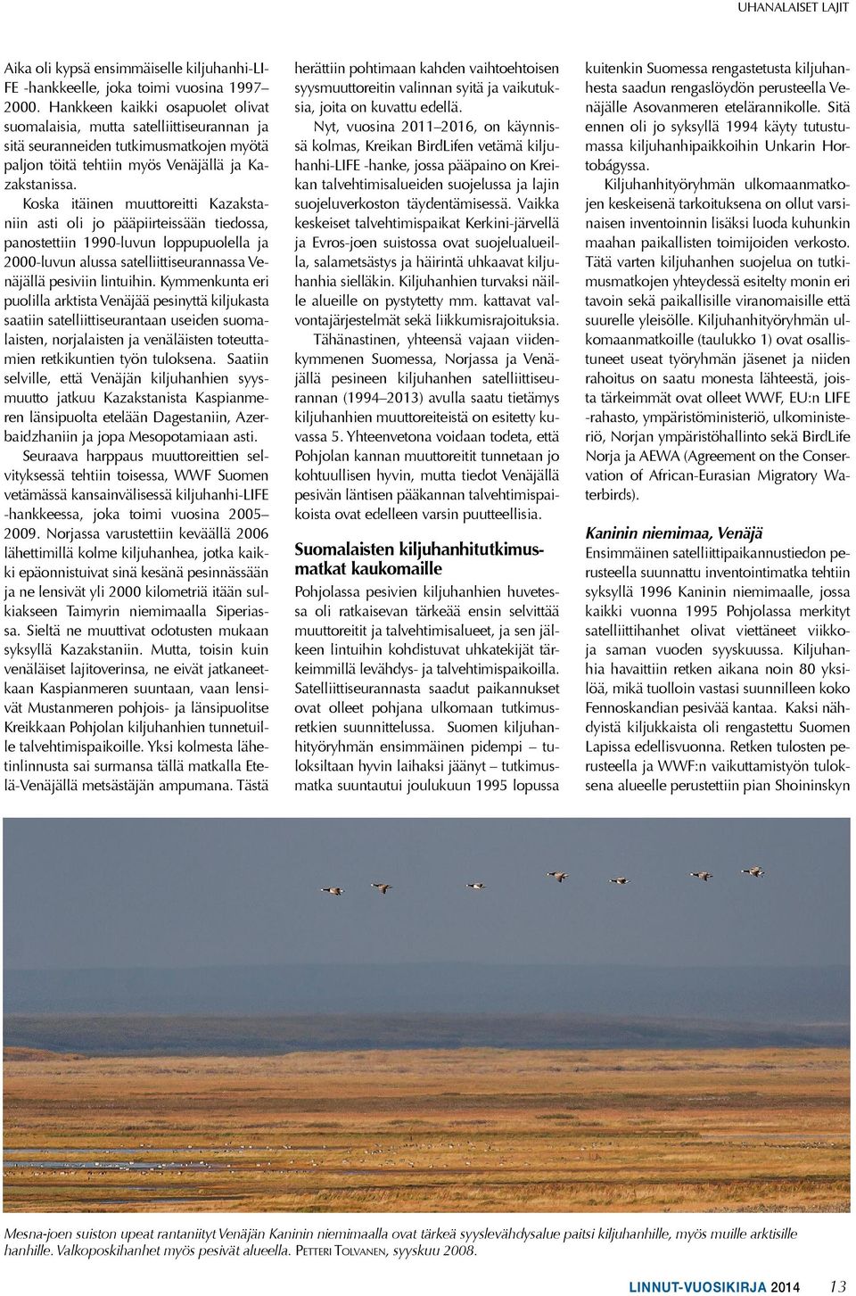 Koska itäinen muuttoreitti Kazakstaniin asti oli jo pääpiirteissään tiedossa, panostettiin 1990-luvun loppupuolella ja 2000-luvun alussa satelliittiseurannassa Venäjällä pesiviin lintuihin.