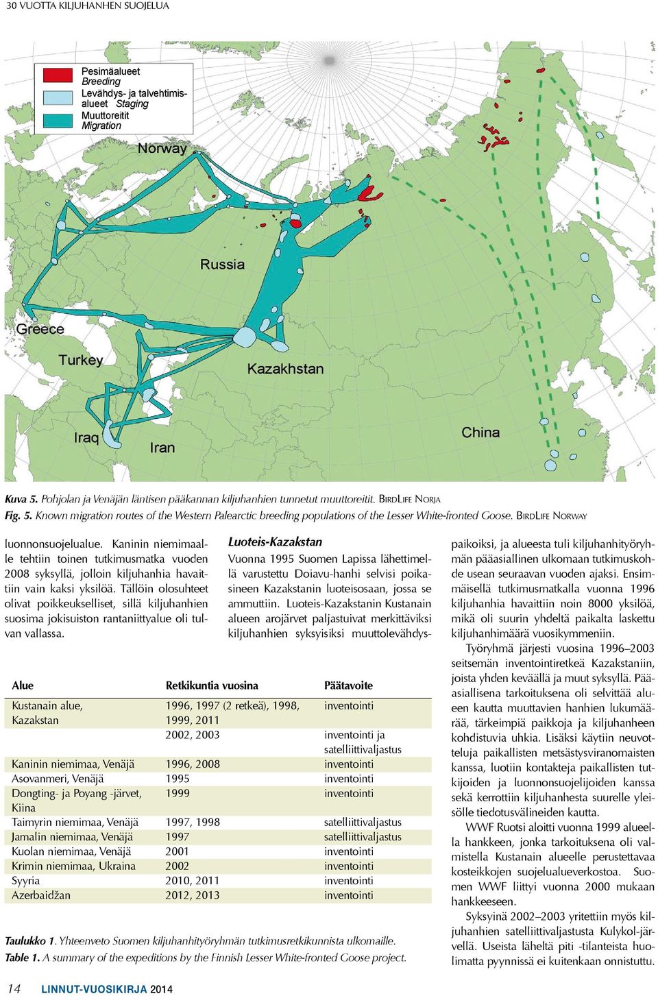 Kaninin niemimaalle tehtiin toinen tutkimusmatka vuoden 2008 syksyllä, jolloin kiljuhanhia havaittiin vain kaksi yksilöä.