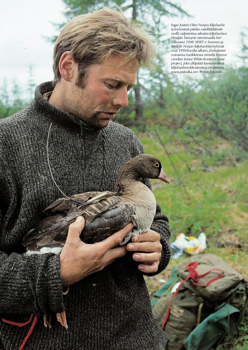 WWF:n Suomen ja BirdLife Norjan kiljuhanhityöryhmät ovat 1990-luvulta alkaen yhdistäneet voimansa