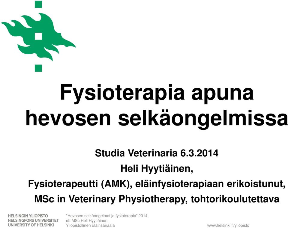 2014 Heli Hyytiäinen, Fysioterapeutti (AMK),