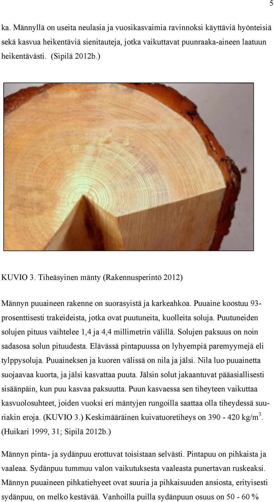 Puutuneiden solujen pituus vaihtelee 1,4 ja 4,4 millimetrin välillä. Solujen paksuus on noin sadasosa solun pituudesta. Elävässä pintapuussa on lyhyempiä paremyymejä eli tylppysoluja.