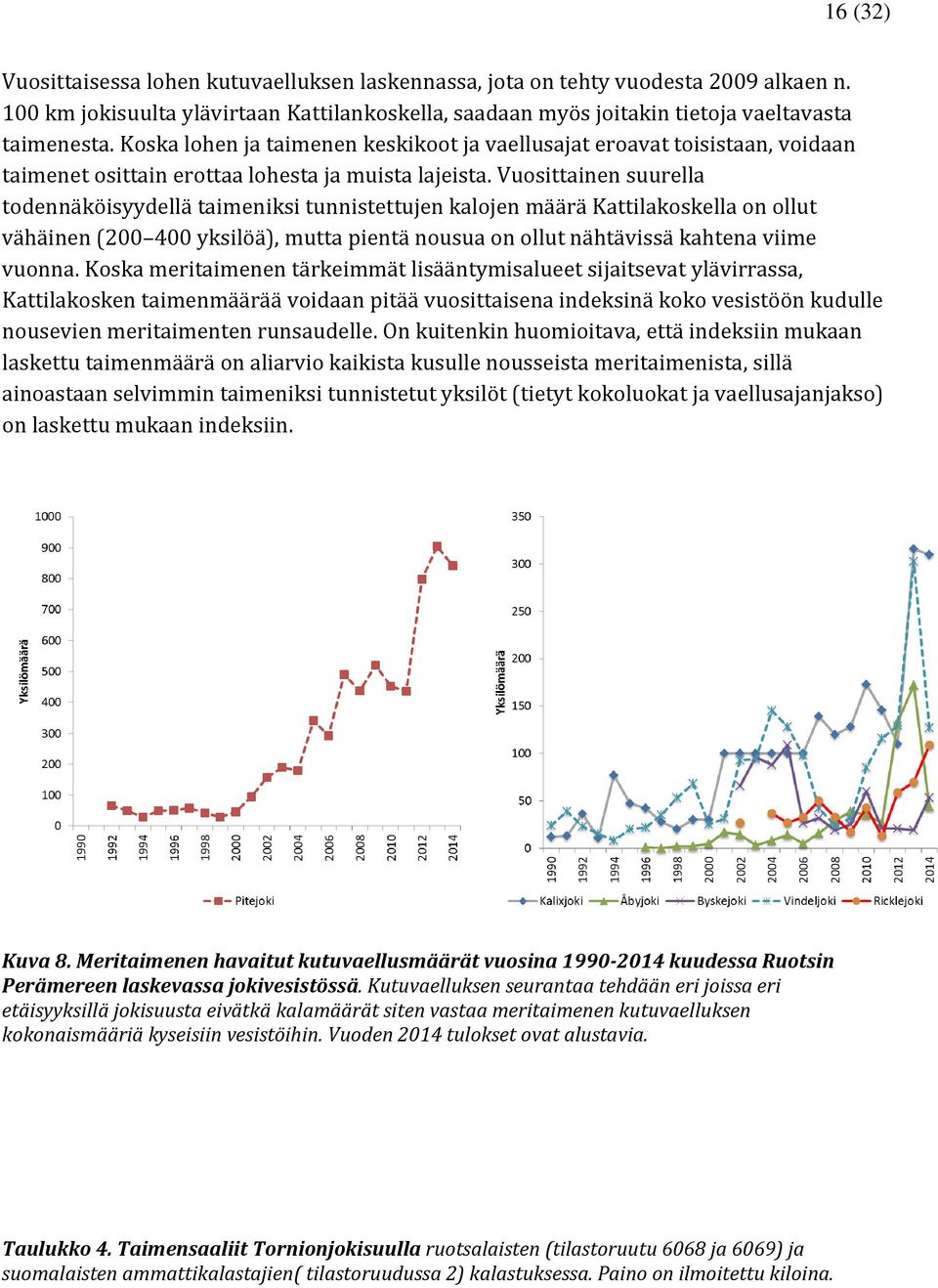 Vuosittainen suurella todennäköisyydellä taimeniksi tunnistettujen kalojen määrä Kattilakoskella on ollut vähäinen (200 400 yksilöä), mutta pientä nousua on ollut nähtävissä kahtena viime vuonna.