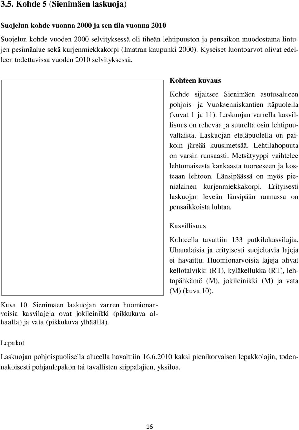 Sienimäen laskuojan varren huomionarvoisia kasvilajeja ovat jokileinikki (pikkukuva alhaalla) ja vata (pikkukuva ylhäällä).