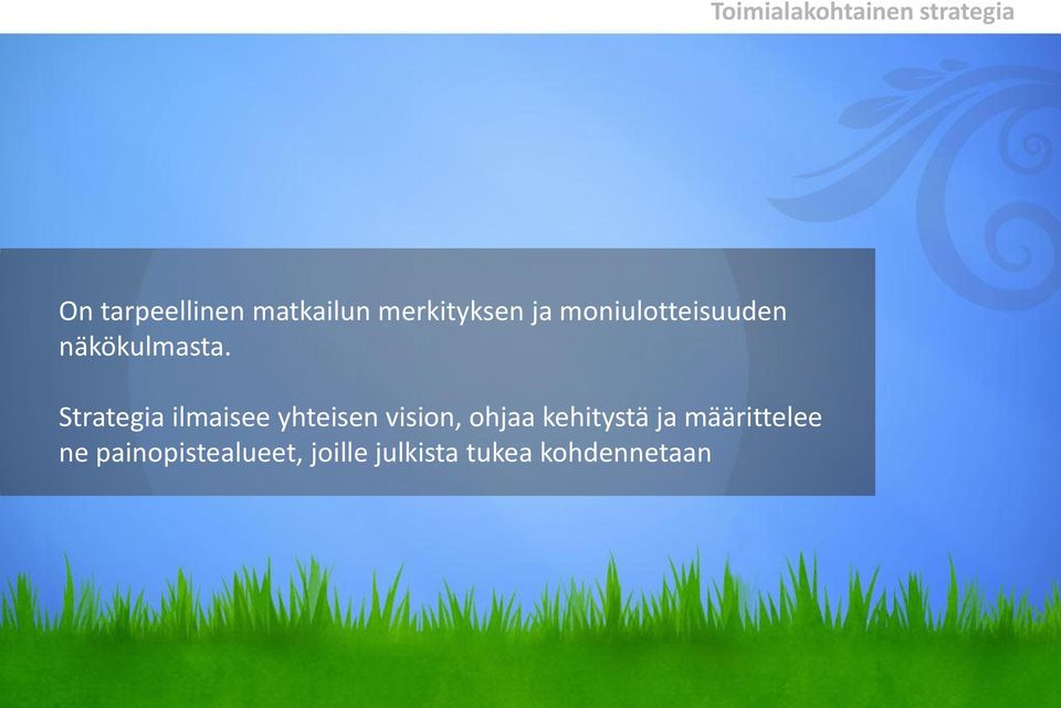 Strategia ilmaisee yhteisen vision, ohjaa kehitystä ja