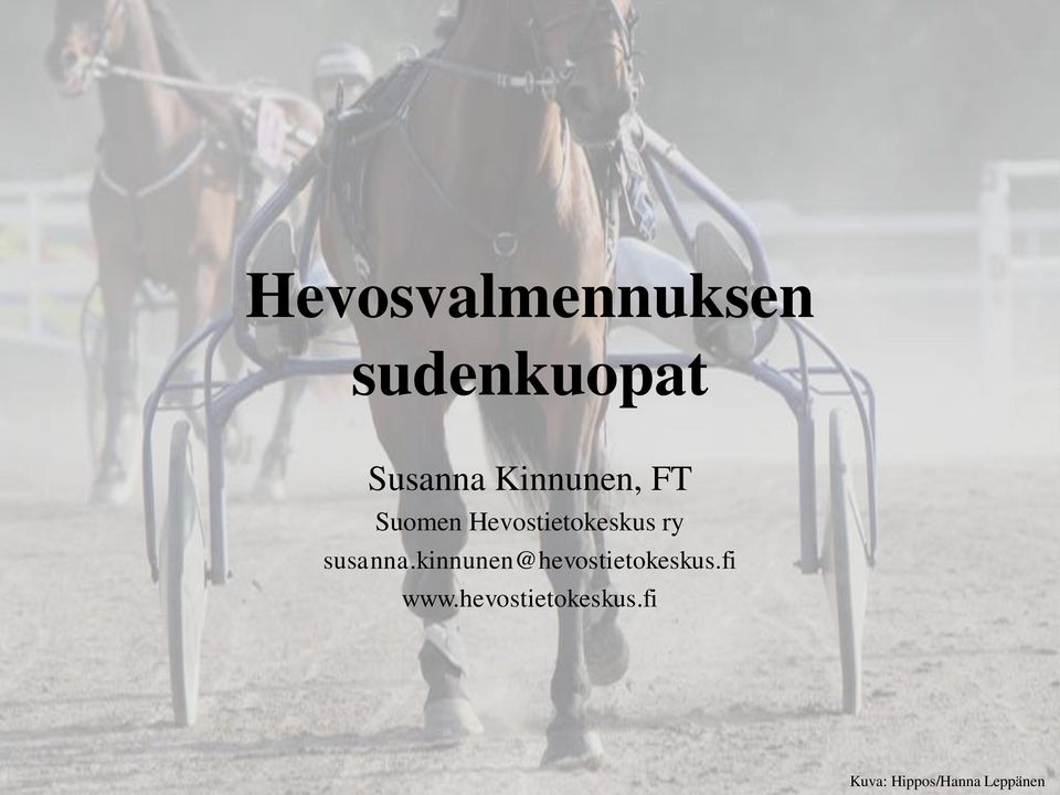 susanna.kinnunen@hevostietokeskus.fi www.