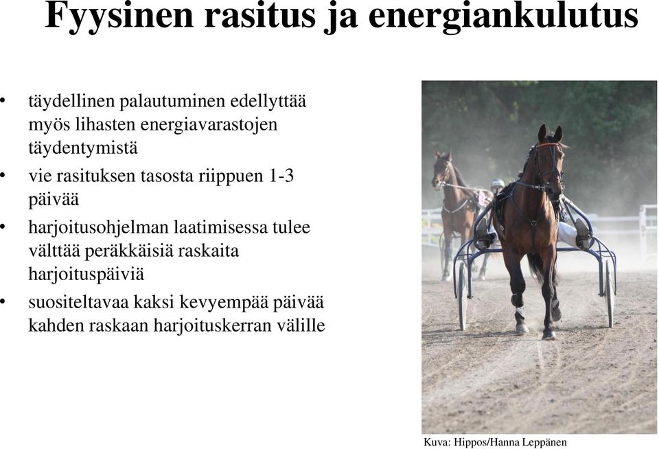 harjoitusohjelman laatimisessa tulee välttää peräkkäisiä raskaita harjoituspäiviä
