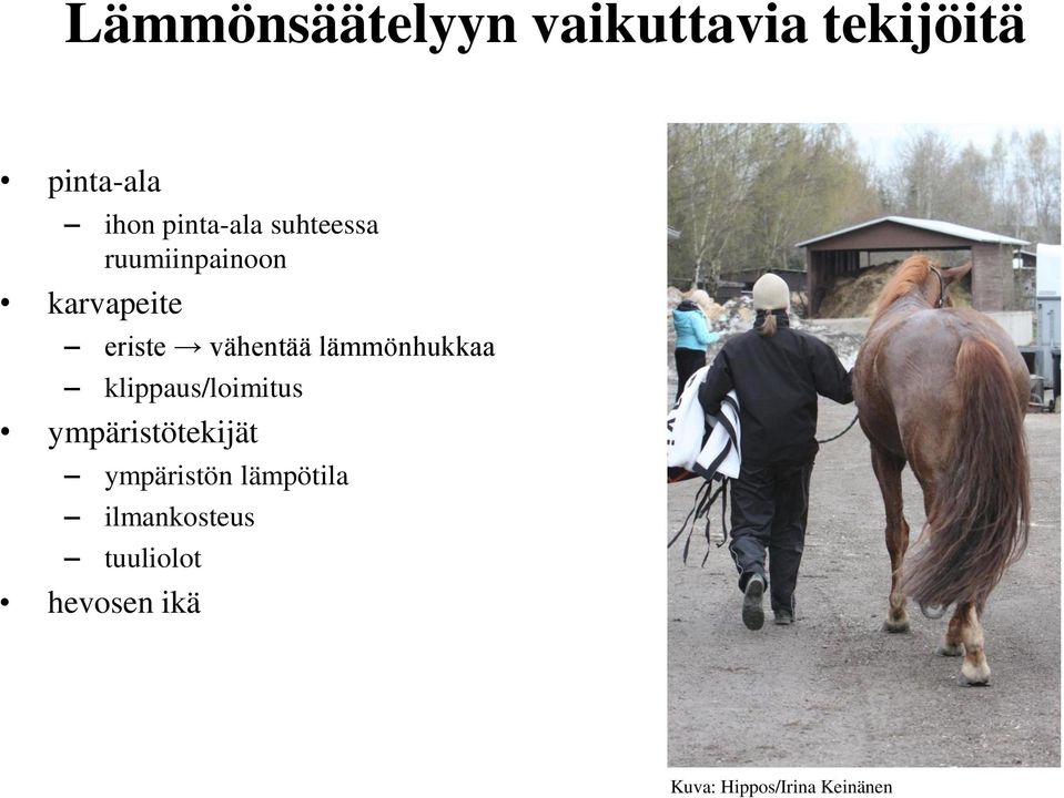 lämmönhukkaa klippaus/loimitus ympäristötekijät ympäristön