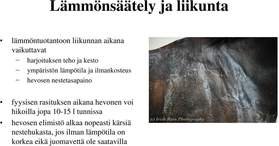 rasituksen aikana hevonen voi hikoilla jopa 10-15 l tunnissa hevosen elimistö alkaa