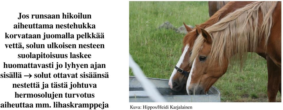 lyhyen ajan sisällä solut ottavat sisäänsä nestettä ja tästä johtuva