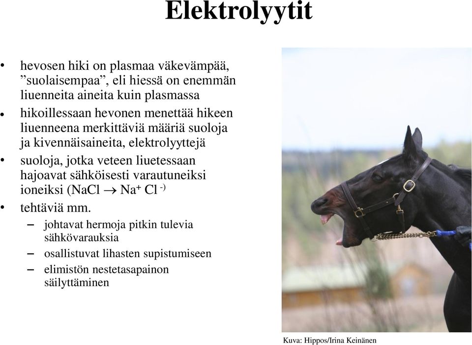 jotka veteen liuetessaan hajoavat sähköisesti varautuneiksi ioneiksi (NaCl Na + Cl -) tehtäviä mm.