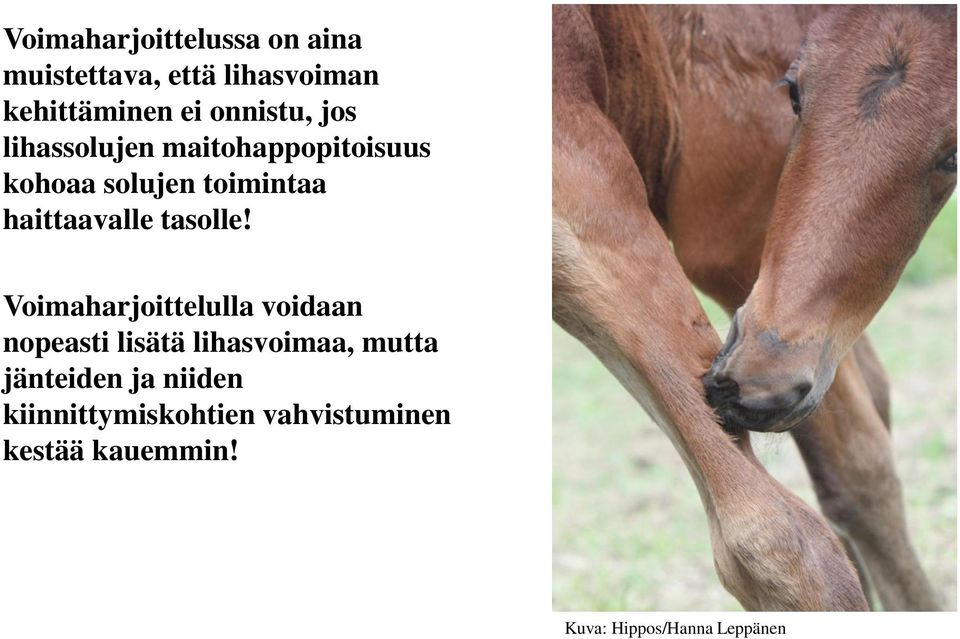 haittaavalle tasolle!
